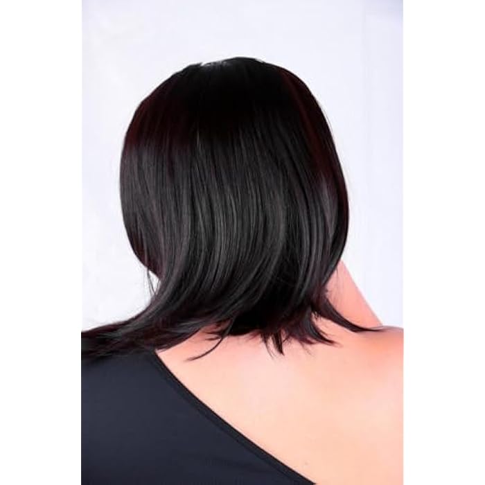 DILLARDS Premium Straight Black Synthetic Wig, Medium Length Layered Style, Heat Resistant Fiber, Natural Looking Daily Wear Cosplay Costume Wig - Image 2